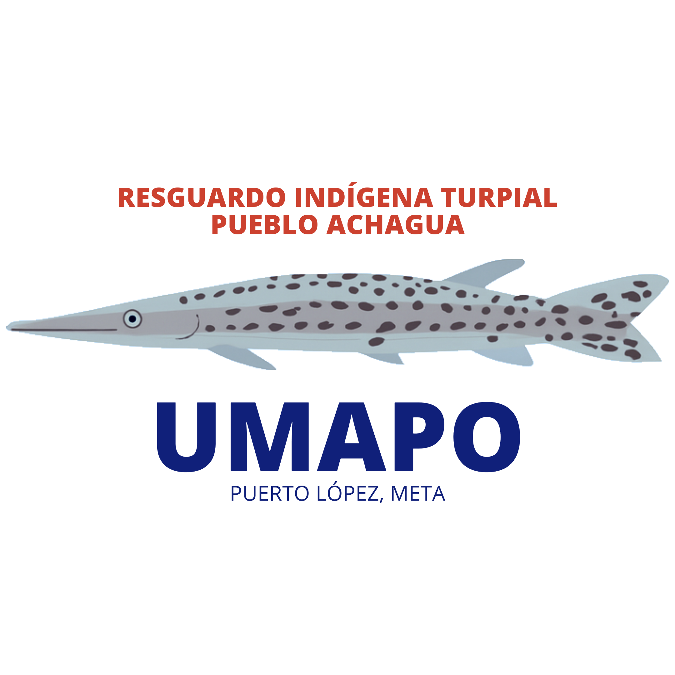 Logo aliado